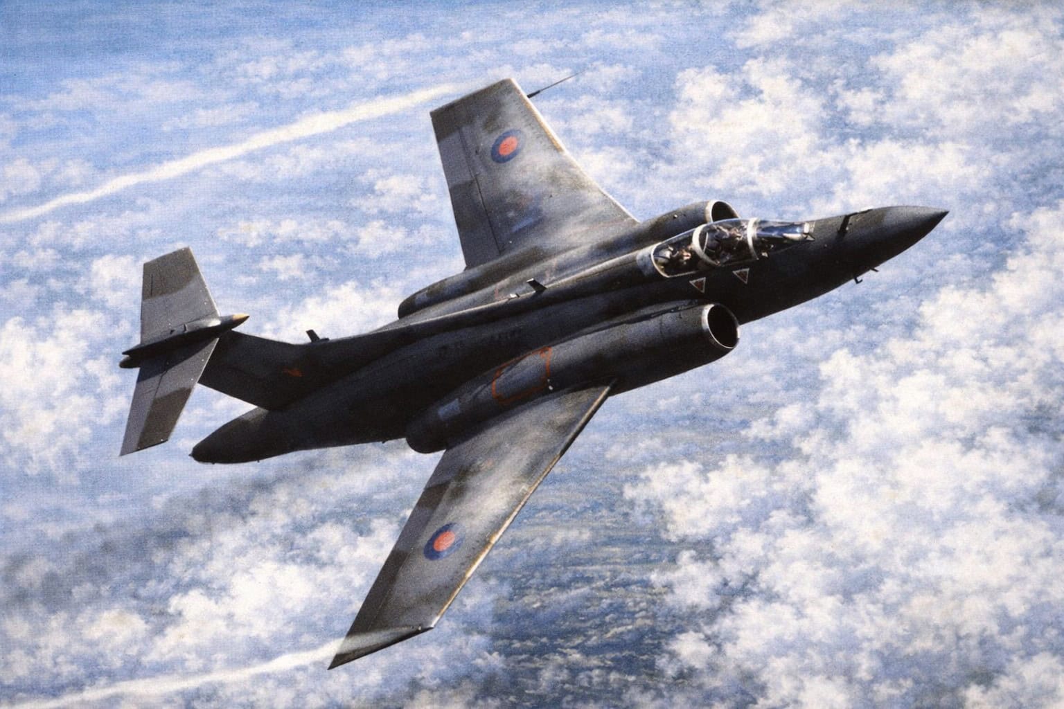 Blackburn Buccaneer: RAF Low-Level Maritime Strike Jet